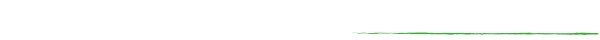 Bullitour